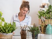 Brighten your Workspace with Indoor Office Plants indoor office plants