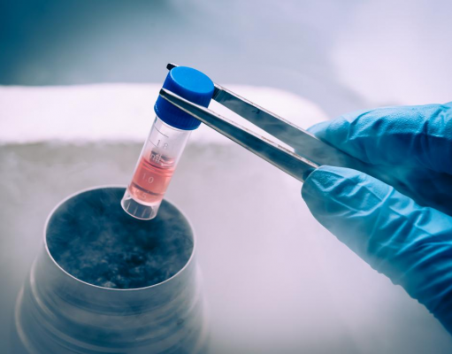 Know About The Stem Cell? stem cells