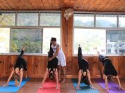 What are The Perfect Yoga Postures For Beginners? Yoga Postures For Beginners