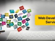 A Road Map To Custom Web Development web development
