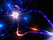 Get your neurological disorders treated in India neurological disorders