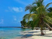 Why You Must Visit Islands in the Caribbean?