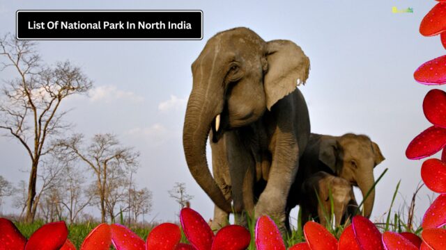 List Of National Park In North India