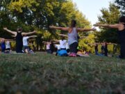 The Different Types of Yoga Postures Types of Yoga Postures