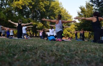 The Different Types of Yoga Postures Types of Yoga Postures