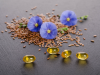 Is Flax Seed Oil Good For Women? Know Flex Seeds Benefits for Health! Flex Seeds Benefits