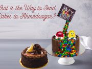 How to Surprise your Loved Ones? What is the Way to Send Cakes to Ahmednagar? Send cakes to Ahmednagar