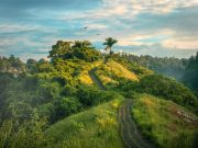 Here’s How Travelling Adds to the Missing Happiness in your Life Travelling Adds to the Missing Happiness