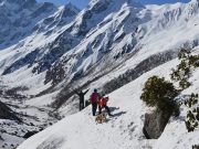 Goechala Trek- A complete guide for all the mountain lovers guide for all the mountain lovers