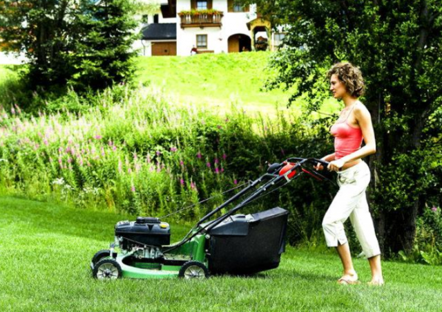 Choosing the Best Lawn Mower For Your Needs