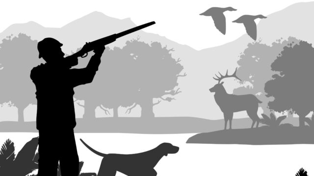 Hunting Game Just Got Easy With the Parker Bow