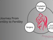 3 Most Effective Infertility Treatment Techniques