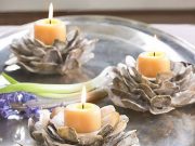 CERTIFIED ART-SEA! 4 Creative Decorations You Can Create Out of Shellfish Shells
