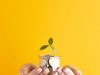 How Insurance Helps You Cover Your Assets