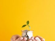 How Insurance Helps You Cover Your Assets