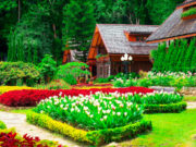 Beginner, Common And Essential Tools Required For Garden Maintenance Tools Required For Garden Maintenance