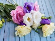 Top 5 DIY Flower Arrangements That You Can Gift To Someone Top 5 DIY Flower Arrangements That You Can Gift To Someone