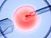 What Is The Difference Between IUI And IVF?
