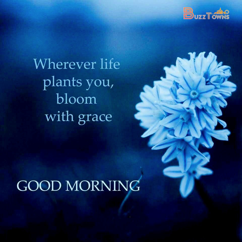 Good-morning-flower-quotes