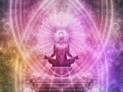 How Yoga Is Important To Stay Fit In Life? Yoga Is Important To Stay Fit