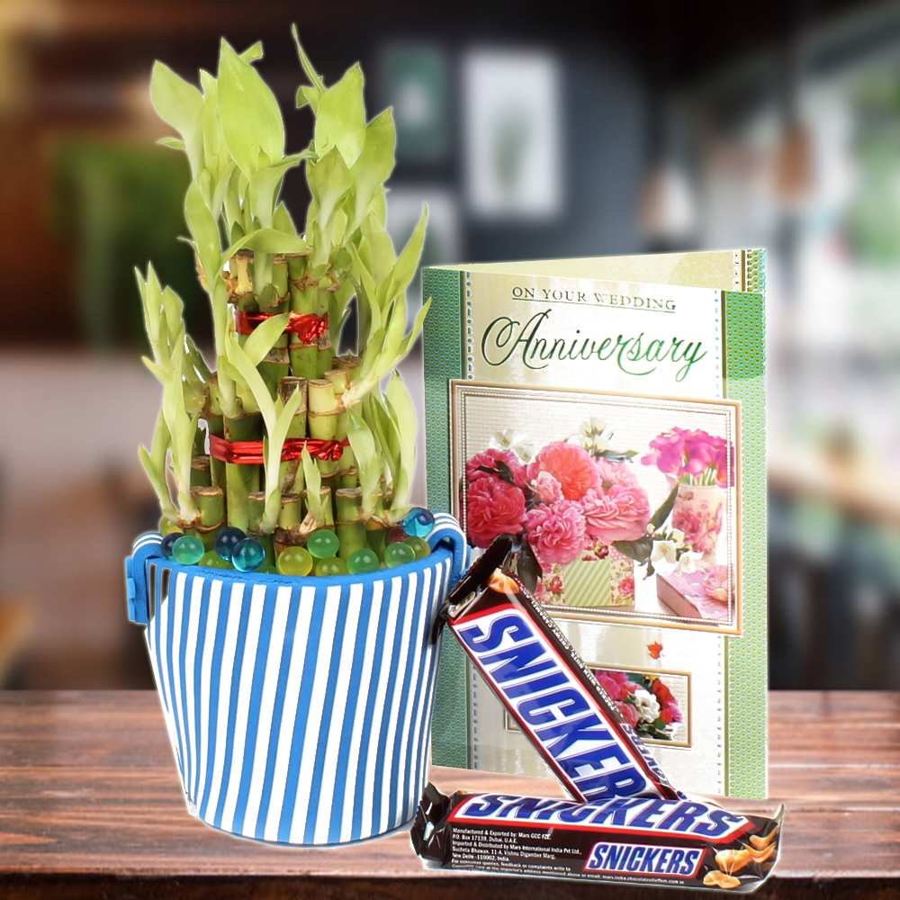 Good Luck Bamboo Plant, Special Chocolates, and a Love Card