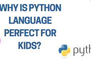 Why Is Python Language Perfect For Kids? Python Language