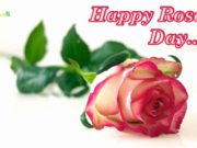 Wish your love a Happy Rose Day in a Special Way Happy Rose Day in a Special Way