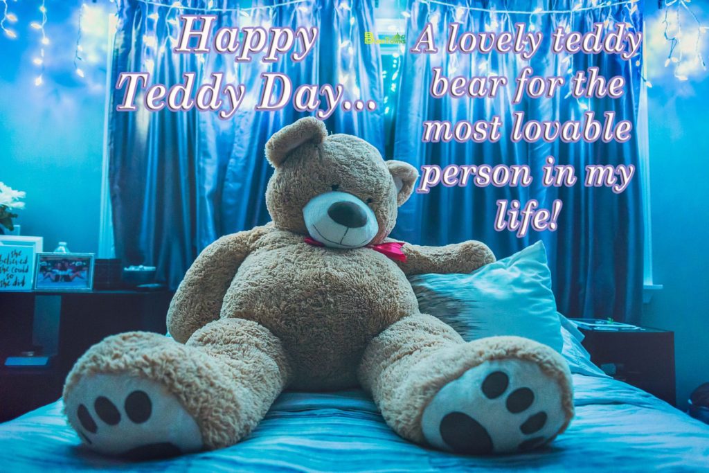 Happy teddy Day