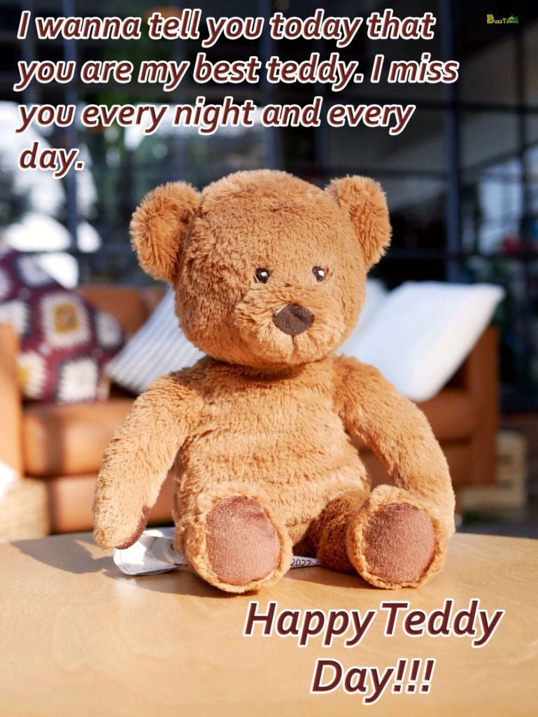 Teddy Day Message