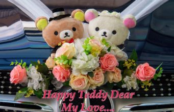 Incredible Teddy Day Wishes for Your Love and Friends! Teddy Day Wishes