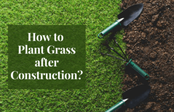 How to Plant Grass after Construction? Explained Plant Grass after Construction