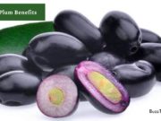 Do You know these (Jamun) Java Plum Benefits? Java Plum Benefits