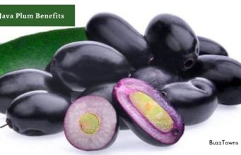 Do You know these (Jamun) Java Plum Benefits? Java Plum Benefits
