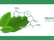 What Are Kratom Alkaloids? What Are Kratom Alkaloids
