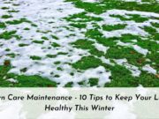 Lawn Care Maintenance – 10 Tips to Keep Your Lawn Healthy This Winter Lawn Care Maintenance - 10 Tips to Keep Your Lawn Healthy This Winter