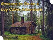 5 Reasons to Go on a Log Cabin Adventure Reasons to Go on a Log Cabin Adventure