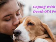 Coping With the Death of a Pet Coping With the Death of a Pet