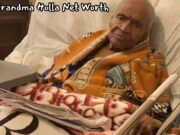 Grandma Holla Net Worth: Uncover Grandma Holla’s Financial Strategies Grandma Holla Net Worth