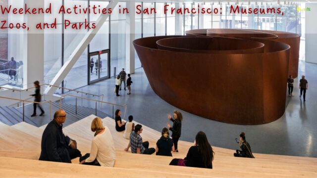 Weekend Activities in San Francisco Museums, Zoos, and Parks