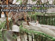 Bringing Nature In: Why Many Businesses are Embracing Biophilic Designs Bringing Nature In Why Many Businesses are Embracing Biophilic Designs