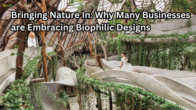 Bringing Nature In Why Many Businesses are Embracing Biophilic Designs