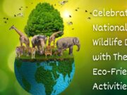Celebrate National Wildlife Day with These 7 Eco-Friendly Activities! Celebrate National Wildlife Day with These 7 Eco-Friendly Activities