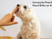Choosing the Perfect Calming Peanut Butter for Dogs: Tips for Pet Owners Choosing the Perfect Calming Peanut Butter for Dogs