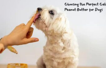 Choosing the Perfect Calming Peanut Butter for Dogs: Tips for Pet Owners Choosing the Perfect Calming Peanut Butter for Dogs