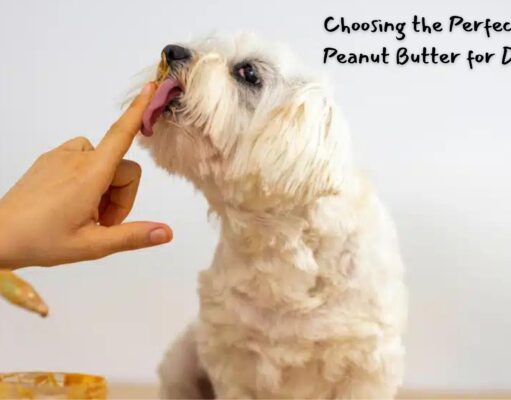 Choosing the Perfect Calming Peanut Butter for Dogs: Tips for Pet Owners Choosing the Perfect Calming Peanut Butter for Dogs