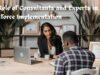The Role of Consultants and Experts in Salesforce Implementation The Role of Consultants and Experts in Salesforce Implementation