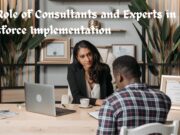 The Role of Consultants and Experts in Salesforce Implementation The Role of Consultants and Experts in Salesforce Implementation