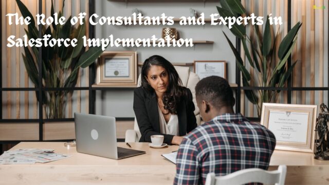 The Role of Consultants and Experts in Salesforce Implementation