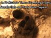 Death in Prehistoric Times: Examining Evidence from Neanderthals and Early Homo Sapiens Death in Prehistoric Times Examining Evidence from Neanderthals and Early Homo Sapiens