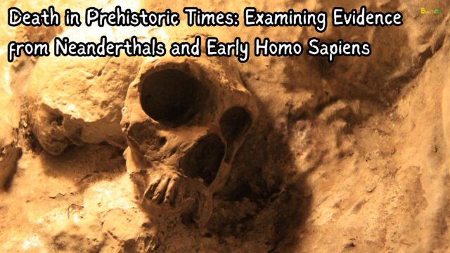 Death in Prehistoric Times Examining Evidence from Neanderthals and Early Homo Sapiens